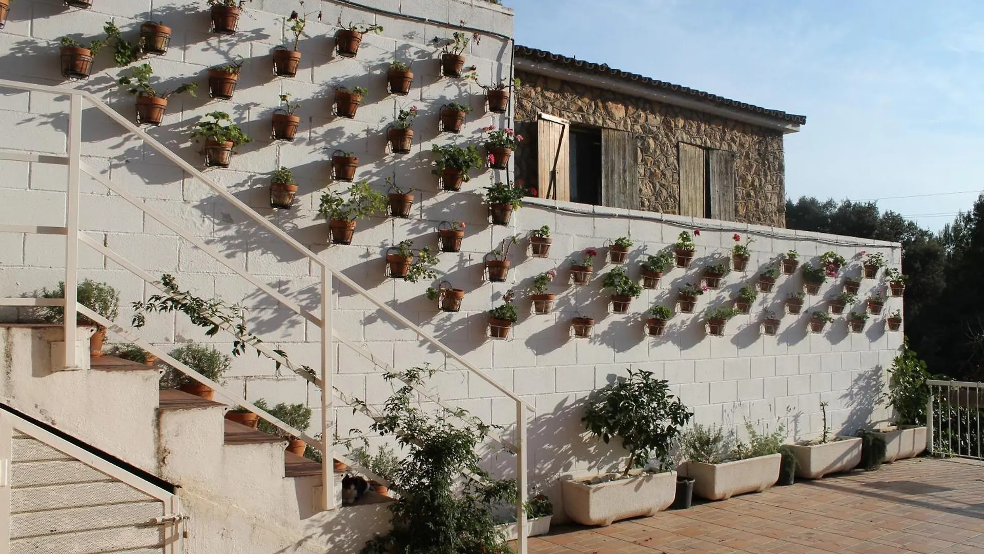 Сasa de vacaciones Villa La Casa Dels Boscos Tarragona España